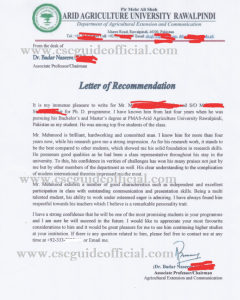recommendation letter format for china scholarship