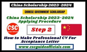 how to make professional cv for acceptance letter