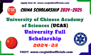 University of Chinese Academy of Sciences (UCAS) University Scholarship ...