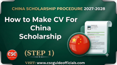 how to make cv for china scholarship acceptance letter